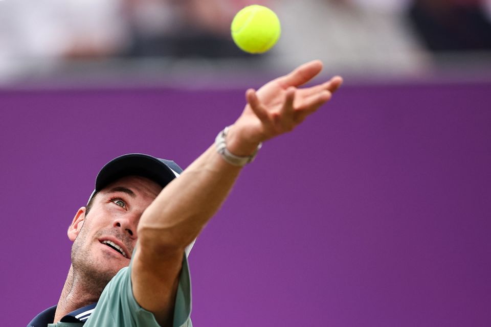 这一体系中 这一体系中