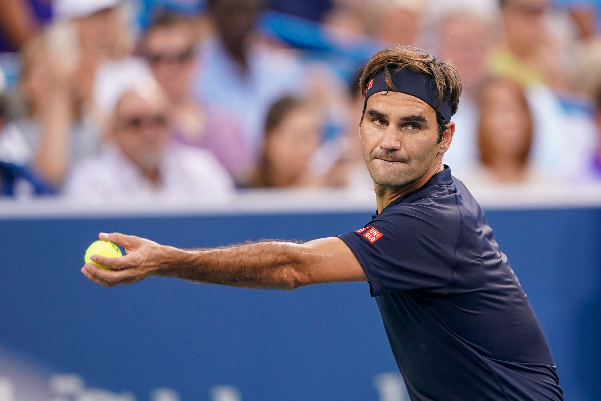 组织视野 组织视野